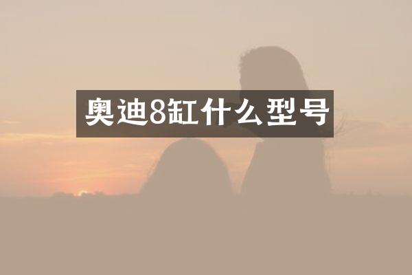 奥迪8缸什么型号