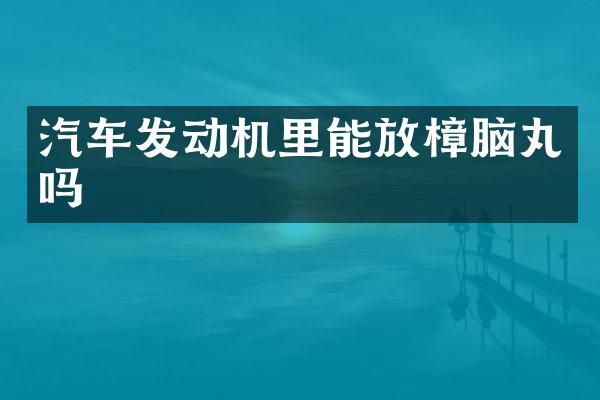 汽车发动机里能放樟脑丸吗