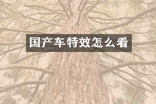 国产车特效怎么看