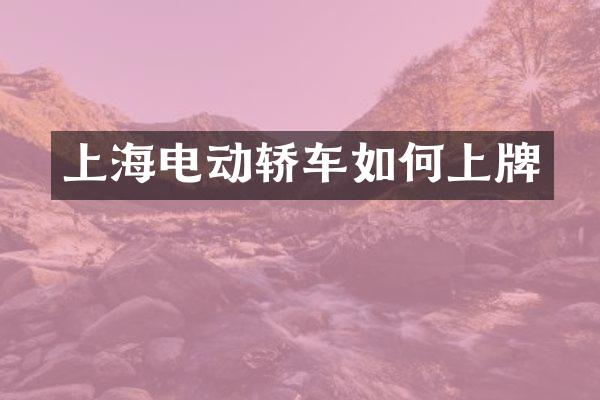 上海电动轿车如何上牌