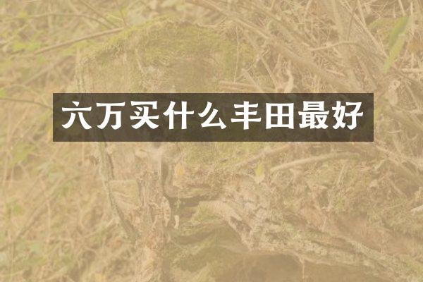 六万丰田最好