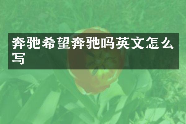 奔驰希望奔驰吗英文怎么写