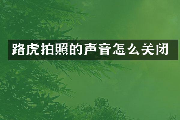 路虎拍照的声音怎么关闭
