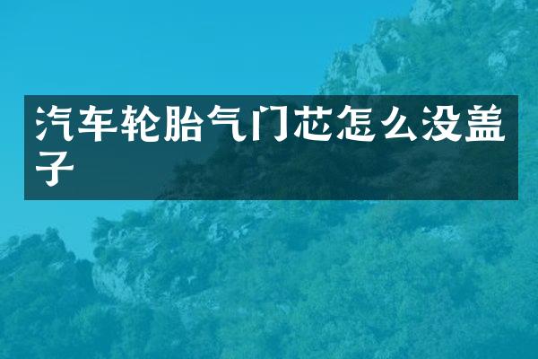 汽车轮胎气门芯怎么没盖子