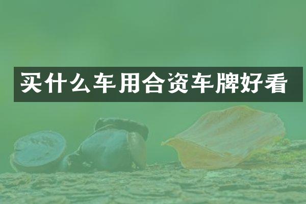 车用合资车牌好看