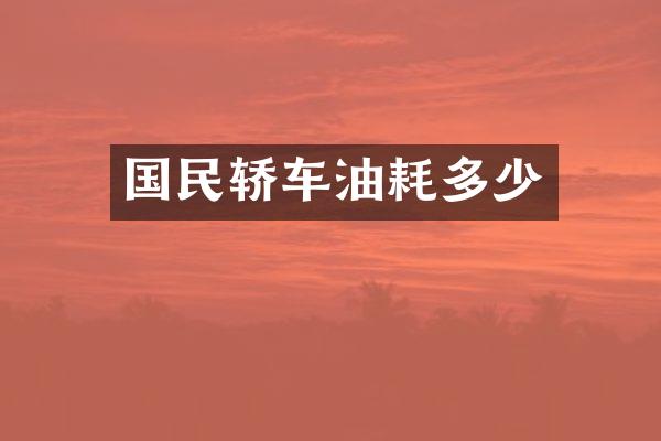 国民轿车油耗多少