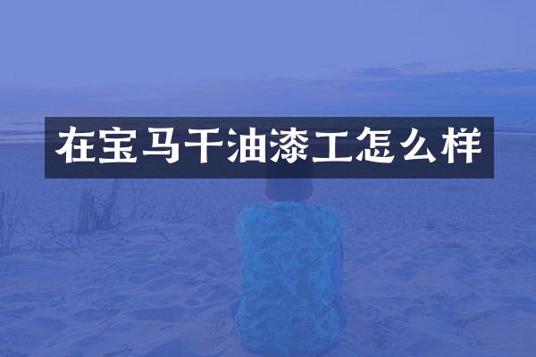 在宝马干油漆工怎么样