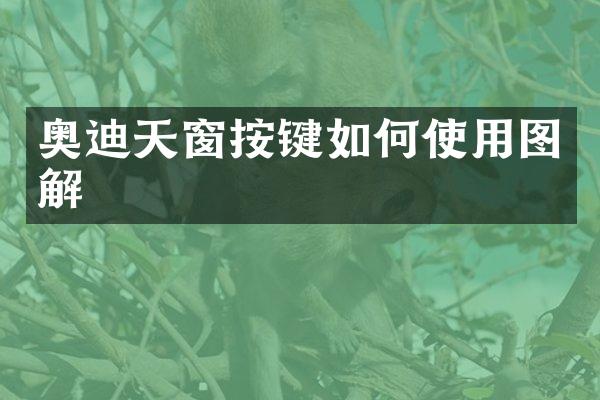 奥迪天窗按键如何使用图解