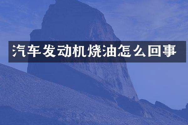 汽车发动机烧油怎么回事