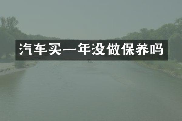 汽车买一年没做保养吗