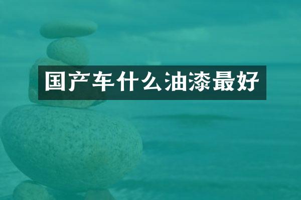 国产车什么油漆最好