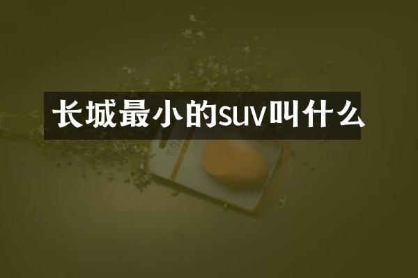 长城最小的suv叫什么