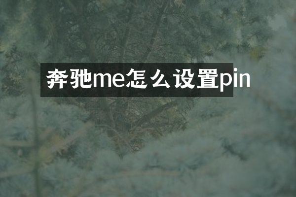 奔驰me怎么设置pin
