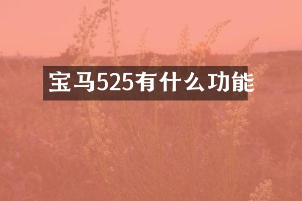 宝马525有什么功能
