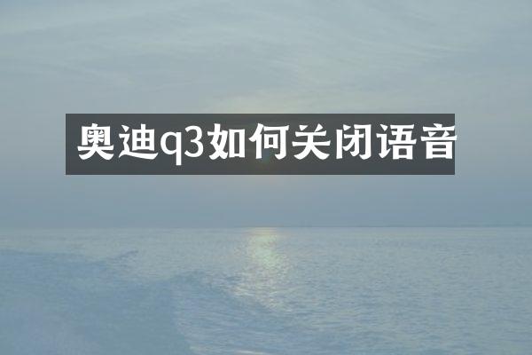 奥迪q3如何关闭语音