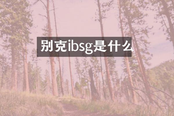 别克ibsg是什么