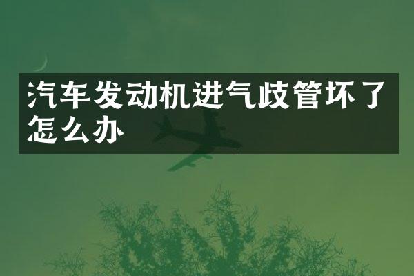 汽车发动机进气歧管坏了怎么办