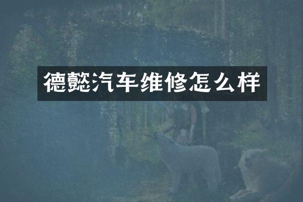德懿汽车维修怎么样