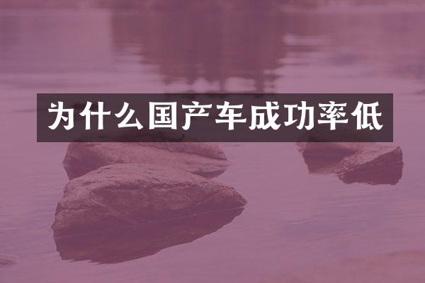 为什么国产车成功率低