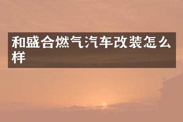 和盛合燃气汽车改装怎么样