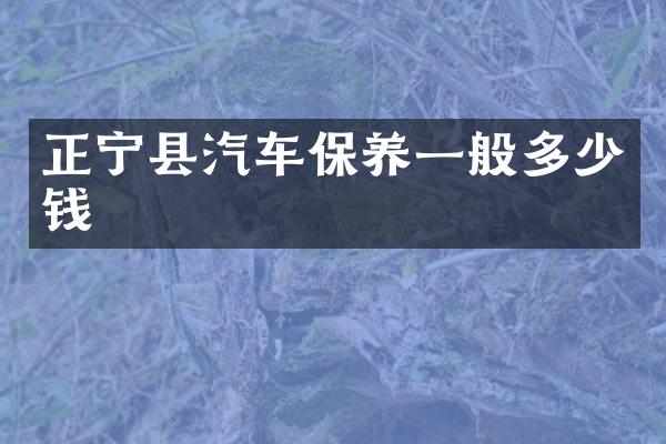 正宁县汽车保养一般多少钱