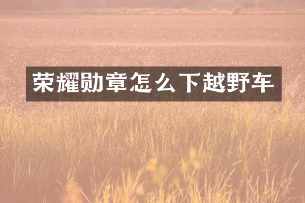 荣耀勋章怎么下越野车