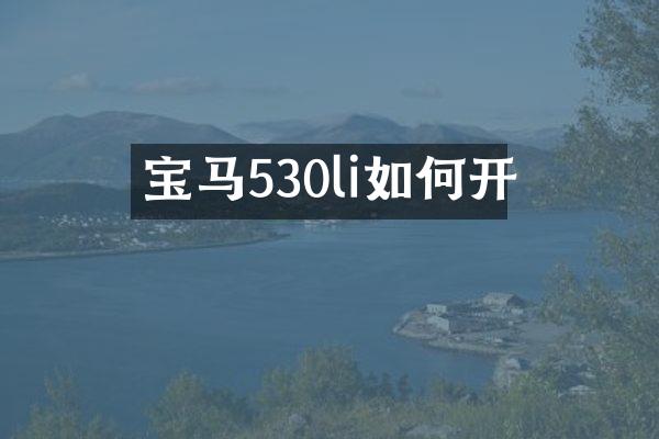 宝马530li如何开