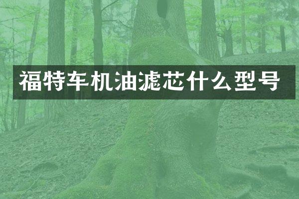 福特车机油滤芯什么型号