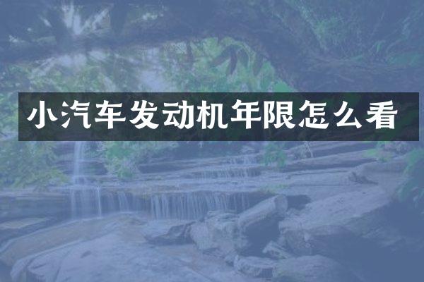 小汽车发动机年限怎么看