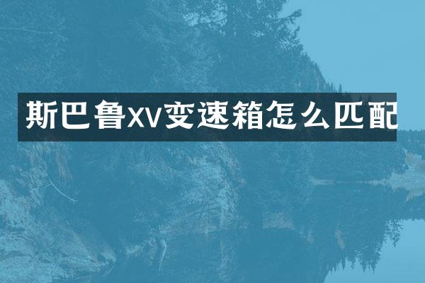 斯巴鲁xv变速箱怎么匹配