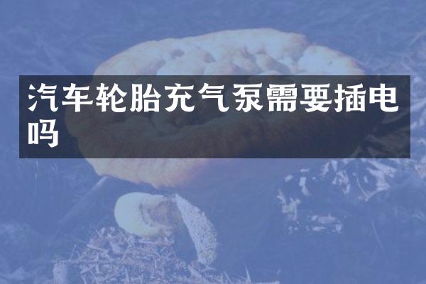 汽车轮胎充气泵需要插电吗