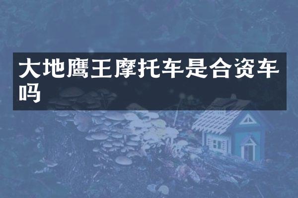大地鹰王摩托车是合资车吗