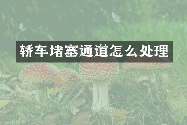 轿车堵塞通道怎么处理