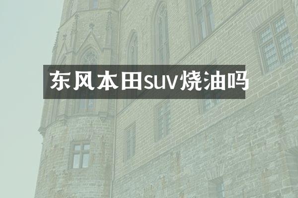 东风本田suv烧油吗