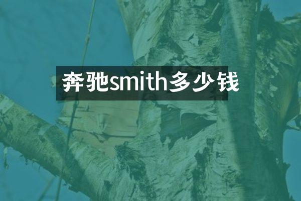 奔驰smith多少钱