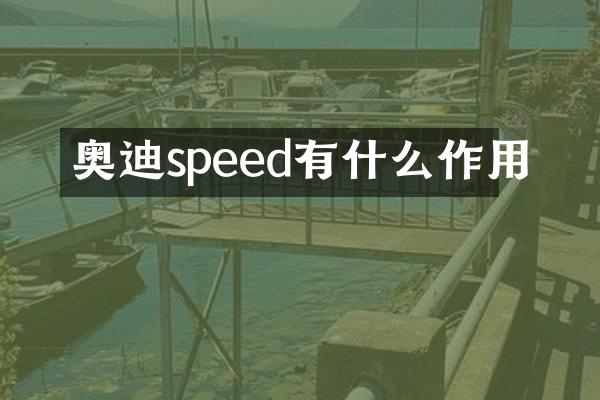 奥迪speed有什么作用