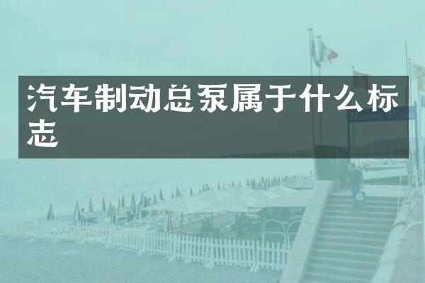 汽车制动总泵属于什么标志