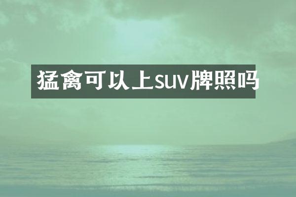 猛禽可以上suv牌照吗