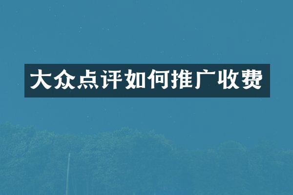 大众点评如何推广收费