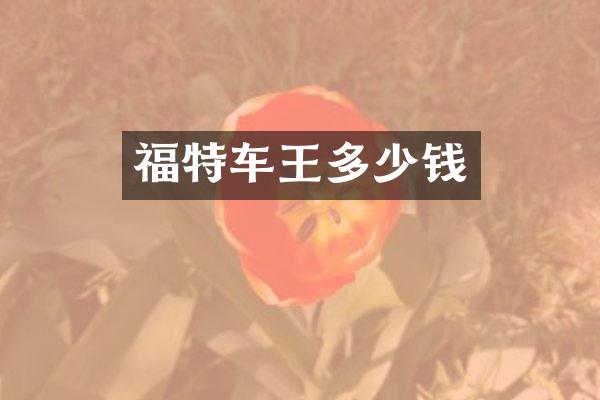 福特车王多少钱