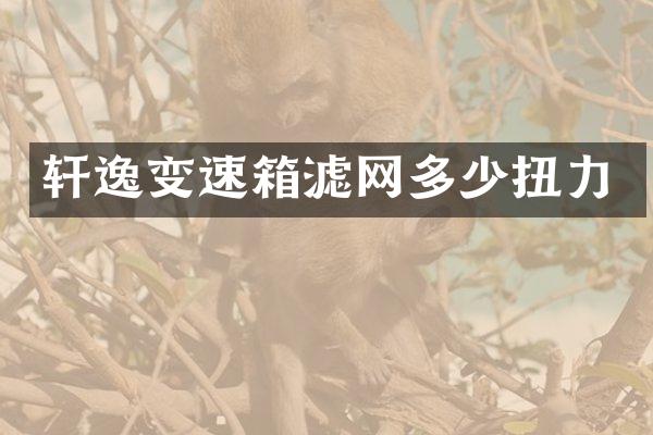 轩逸变速箱滤网多少扭力