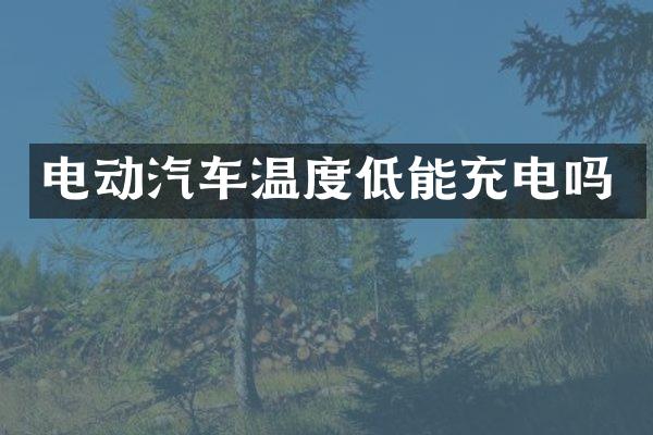 电动汽车温度低能充电吗