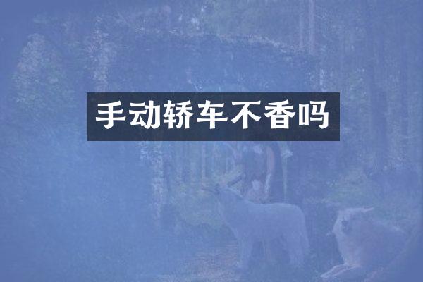 手动轿车不香吗