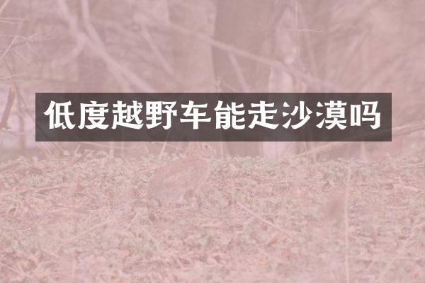 低度越野车能走沙漠吗