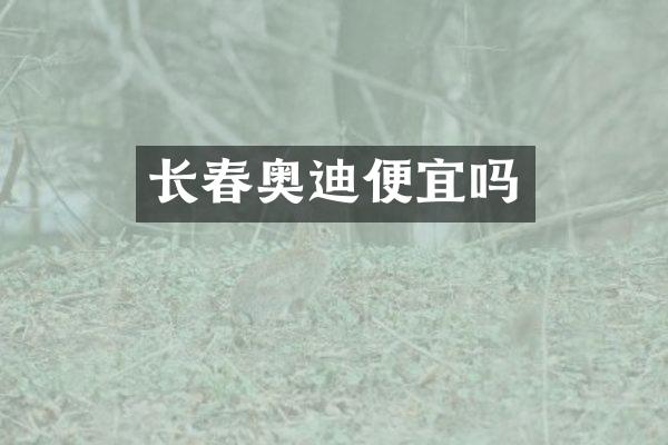 长春奥迪便宜吗