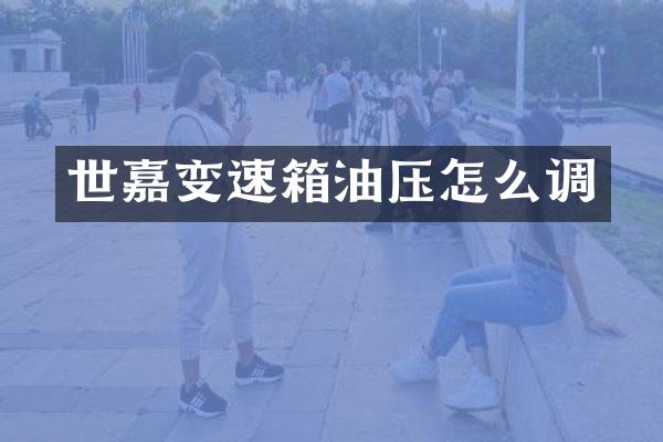 世嘉变速箱油压怎么调
