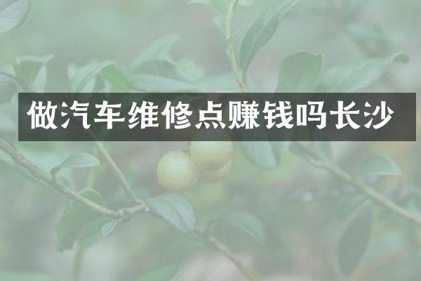 做汽车维修点赚钱吗长沙