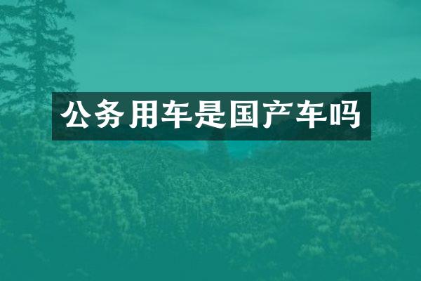 公务用车是国产车吗