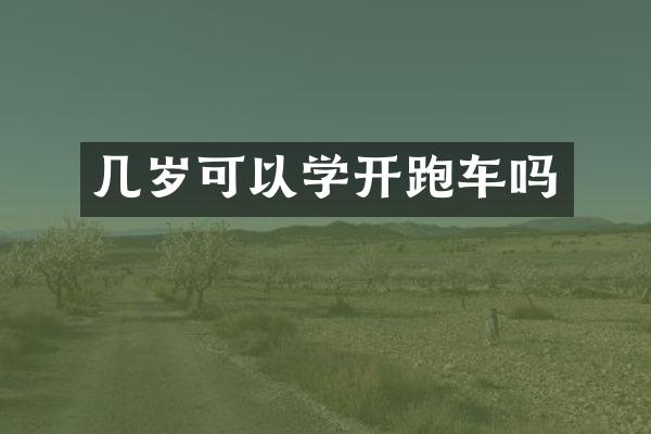 几岁可以学开跑车吗