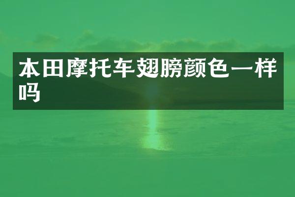 本田摩托车翅膀颜色一样吗